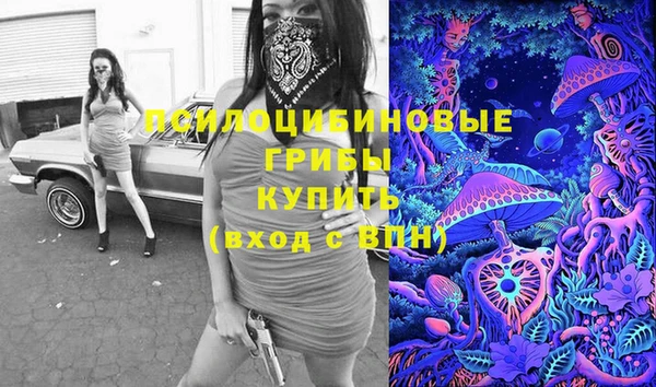a pvp Алзамай