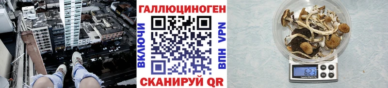 Галлюциногенные грибы MAGIC MUSHROOMS  shop официальный сайт  Курган 